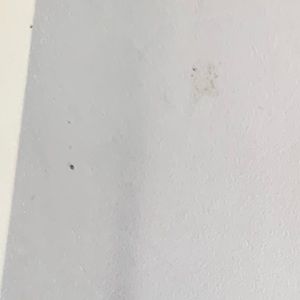 Meet your Posher, Joel